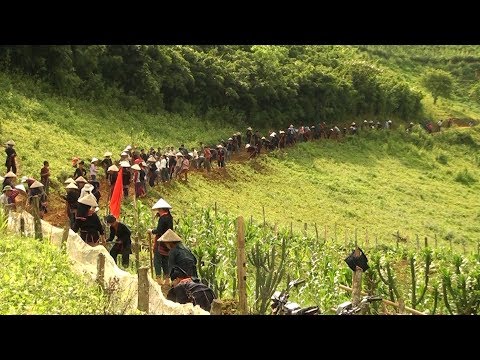 Video Tin Tức 24h : Yên Bái: 97% số hộ dân tại Văn Chấn được... - youtube