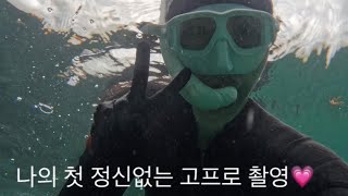 영덕 해루질 포인트 펀다이빙 영덕 스노클링 뱅에돔 보라성게 뿔소라 스노클 포인트