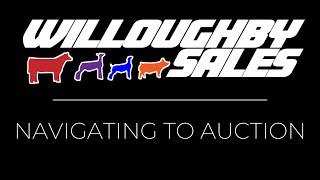 Navigating to Auction