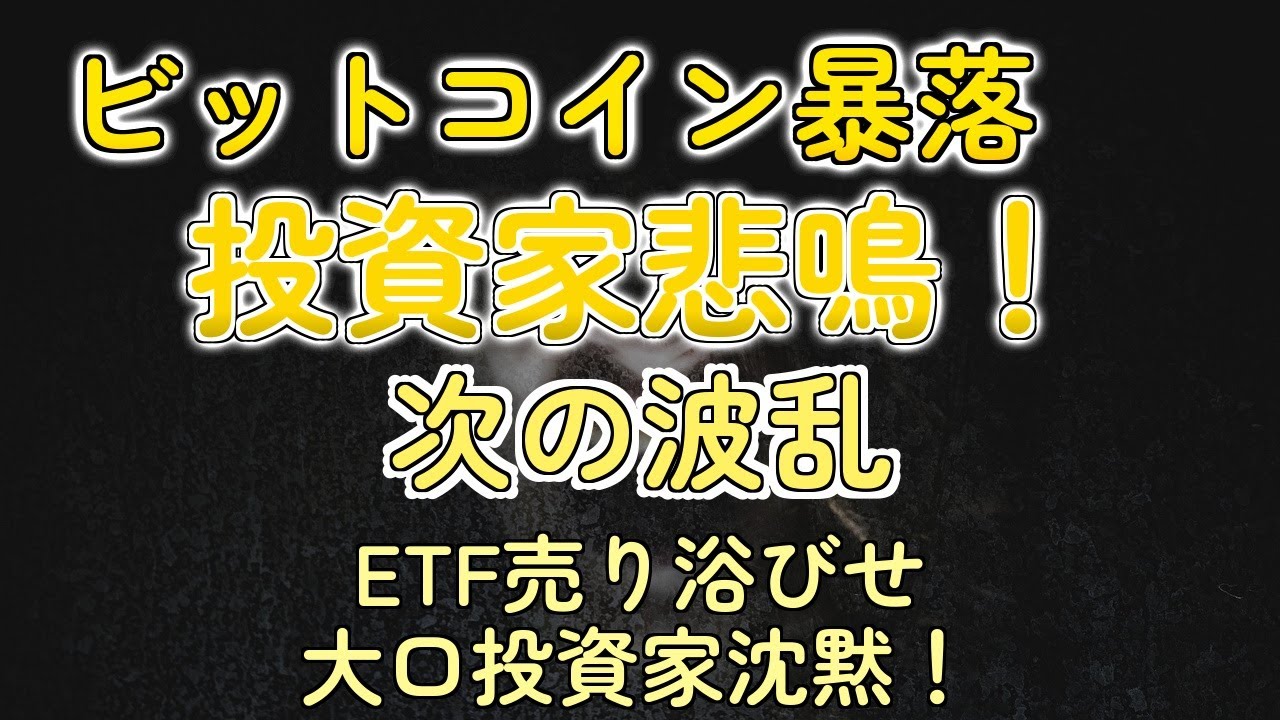 ビットコイン、まさかの熊相場入り？専門家が語るヤバすぎる理由 - YouTube