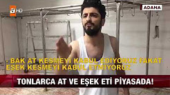 SKANDAL! AT ETİ SATTILAR RÖPORTAJ ADAM TROLL ÇOK KOMİK :D