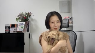 飯山あかりちゃんねるの配信のサムネイル画像