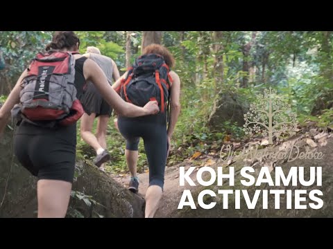 A glimpse of the daily activties in Koh Samui