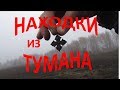 Находки из тумана.