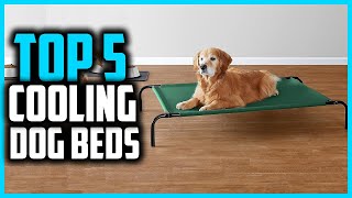 ✅Best Cooling Dog Beds in 2024