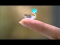 How to Put in Contacts -- DAILIES® AquaComfort Plus® Contact Lenses