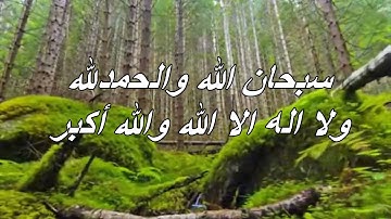 تلاوة خاشعة من سورة الزمر بصوت القارئ محمد رفاعية - حلبون
