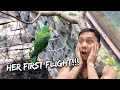 My Bird Who Couldn&#39;t Fly Takes Her First Flight - Dec. 12, 2022 | Vlog #1585
