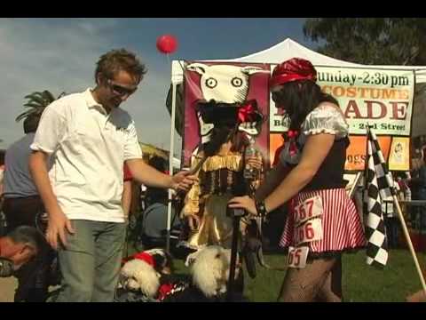 Funny Dogs In Hilarious Costumes - Planet Pets TV Episode 3