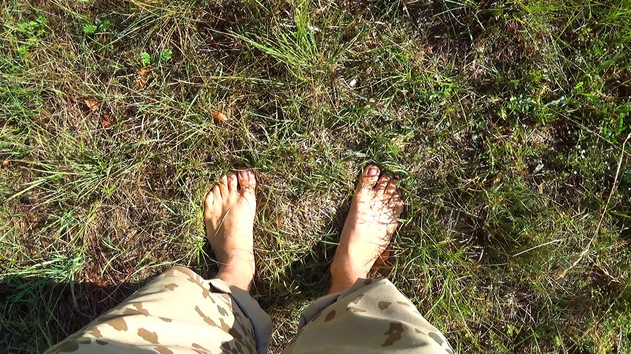 Босые ноги баста jakone. Босыми ногами по слизнякам. Босые ноги в лесу. Ходить босиком по траве. Босиком за грибами.