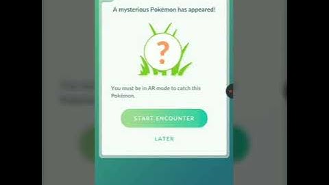 Distracted by something shiny