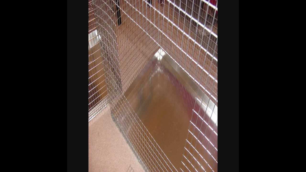 How To Build A Cage YouTube