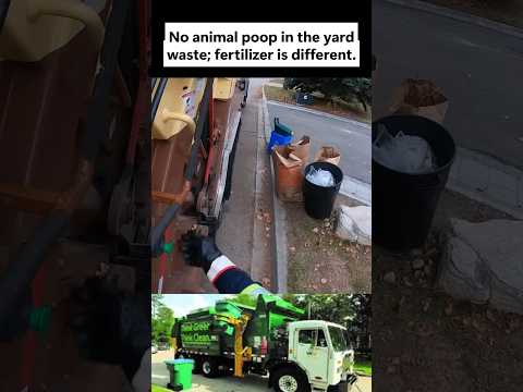 A Behind the Scenes Look at Yard-Waste Day! 🍁🚛 #TrashLife #SanitationWorker