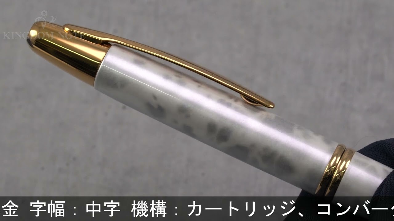 PILOT パイロット 万年筆 伊東屋限定 キャップレス 銀座モダン