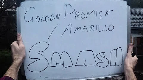 Brew Day - Golden Promise / Amarillo Smash (advanced, BIAB)