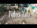 Самый большой частный зоопарк на Кипре в Пафосе. Paphos Zoo. Жизнь на Кипре. Пафос Кипр.