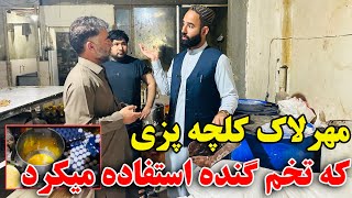 کنترول و مهرلاک بزرگترین کیک و کلچه فروشی در ناحیه ۵ توسط معاون صاحب !