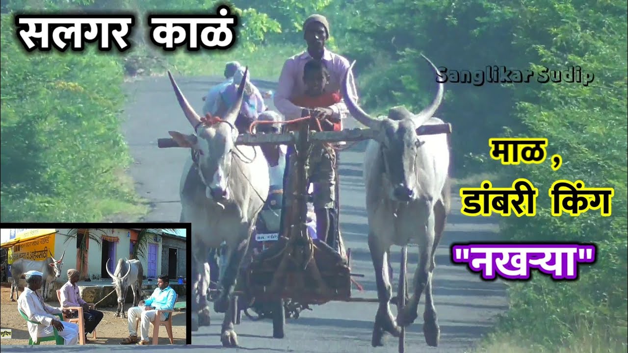 डांबरी आणि माळ गाजवणारा हिंदकेसरी 