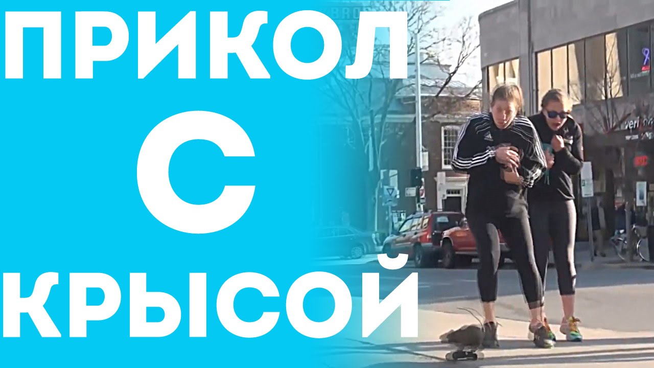 Видео о перекупах