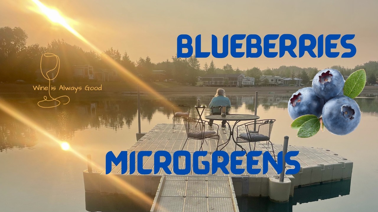 Blueberries sprouts and a martini | Couple's Waterside Cooking