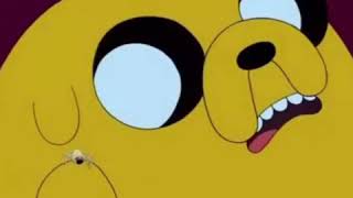 Jake The Dog Gets Bit By A Spider Er