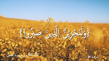 سورة النحل - القارئ فارس عباد