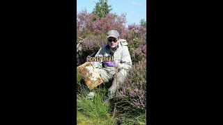 What is Raw Honey? What is Raw Honey?