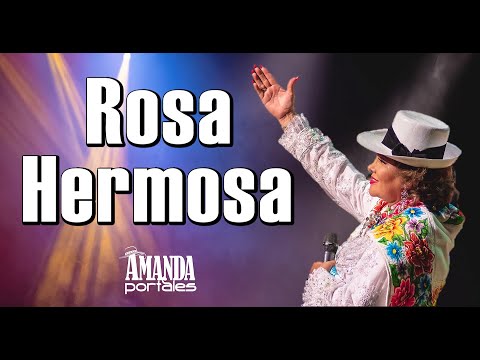 Rosa hermosa - Amanda Portales