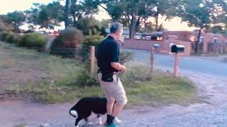 Come when Called – on the Move by Jeff Nichol, DVM 76 views 1 year ago 12 seconds