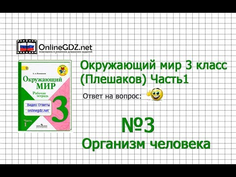 Задание 3 Организм человека - Окружающий мир 3 класс (Плешаков А.А.) 1 часть