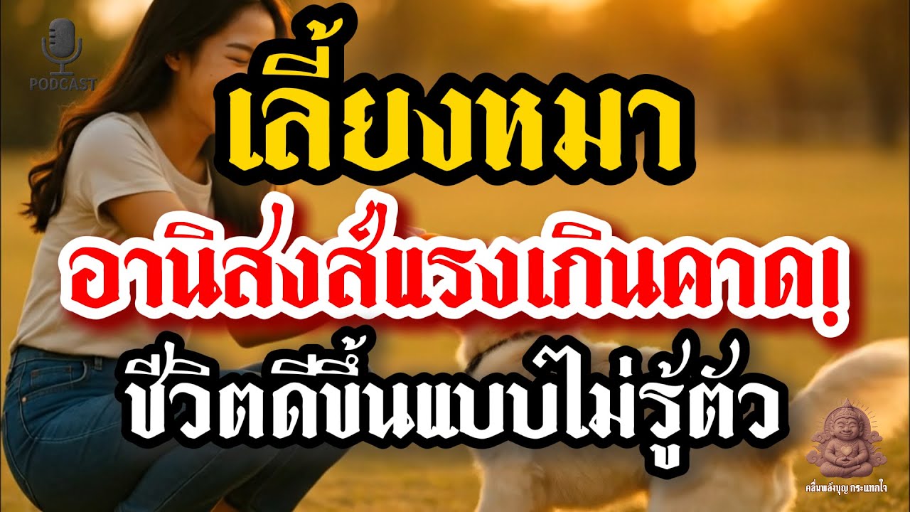 6 อานิสงส์เลี้ยงสุนัข ยิ่งให้ชีวิต... ยิ่งได้บุญใหญ่กลับคืน | คลื่นพลังบุญกระแทกใจ