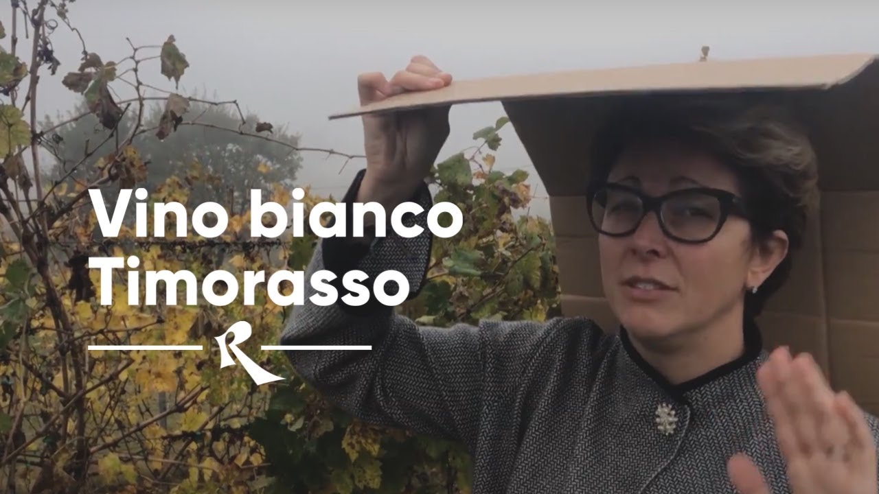 Vino bianco Timorasso - La Colombera, Tortona