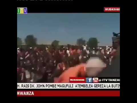 Video: Brovallia (picha 27): Hukua Kutoka Kwa Mbegu Nyumbani, Kutunza Maua. Makala Ya Aina 