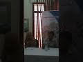 زهرتان يانعتان فى محراب الثقافة العربية افتخر بكما وخاصة ملاك حساين ابنة الزمان المصرى