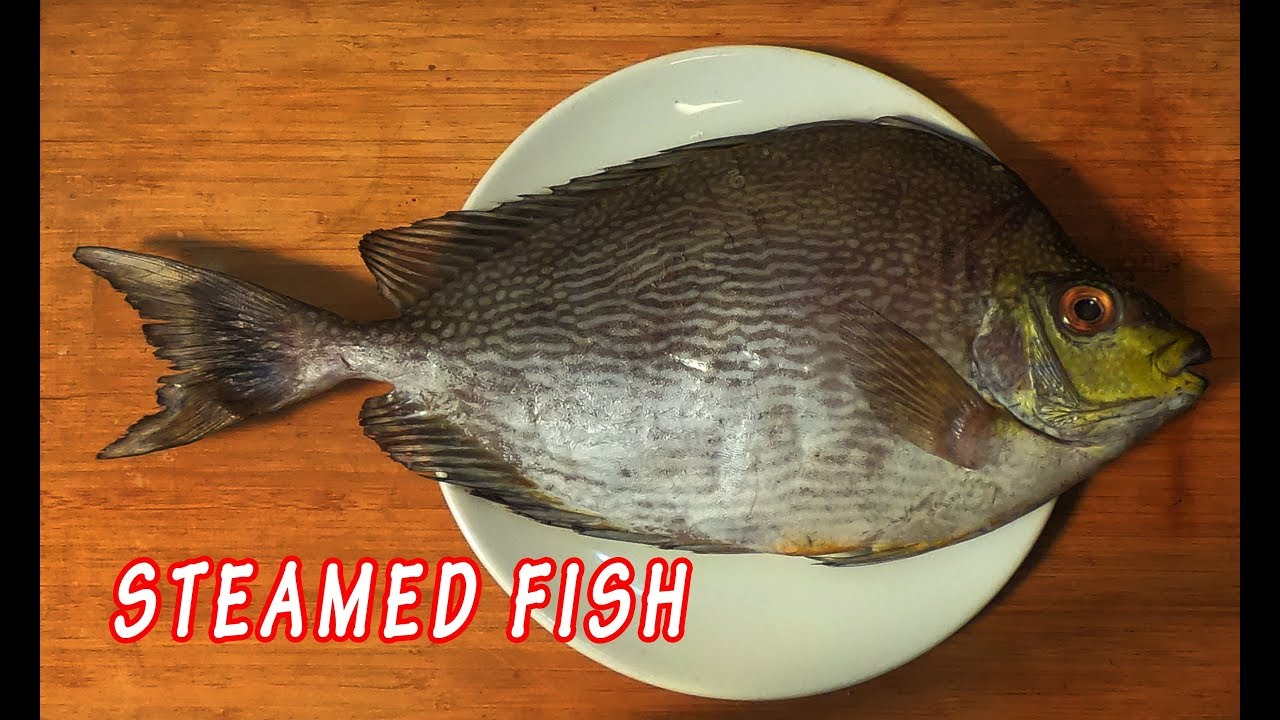 Pajelo Fish steamed fish In Paleo style Paleo diet food paleo diet recipe/ பேலியோ ...