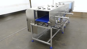 Loma IQ4-CW3 6000M Metal Detector & Checkweigher