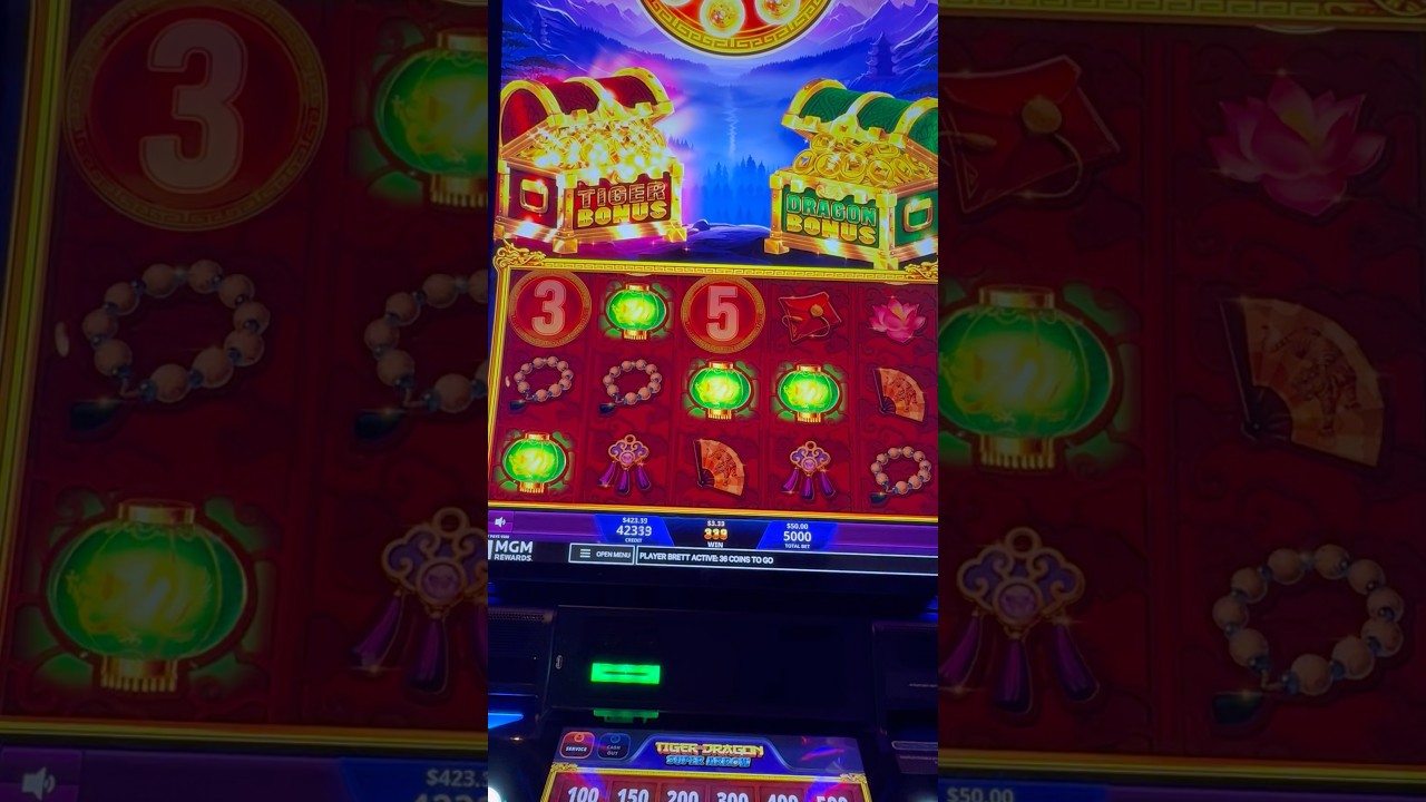 Schermata dell app Mslotbet