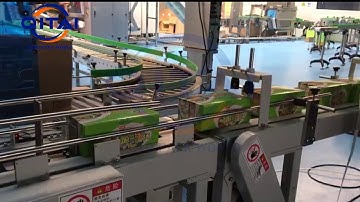 Small box side loading automatic case packer machine/carton erector/case erector/box sealer