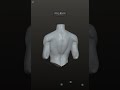 Práctica diaria 6 | torso masculino #3d #art #digitalart