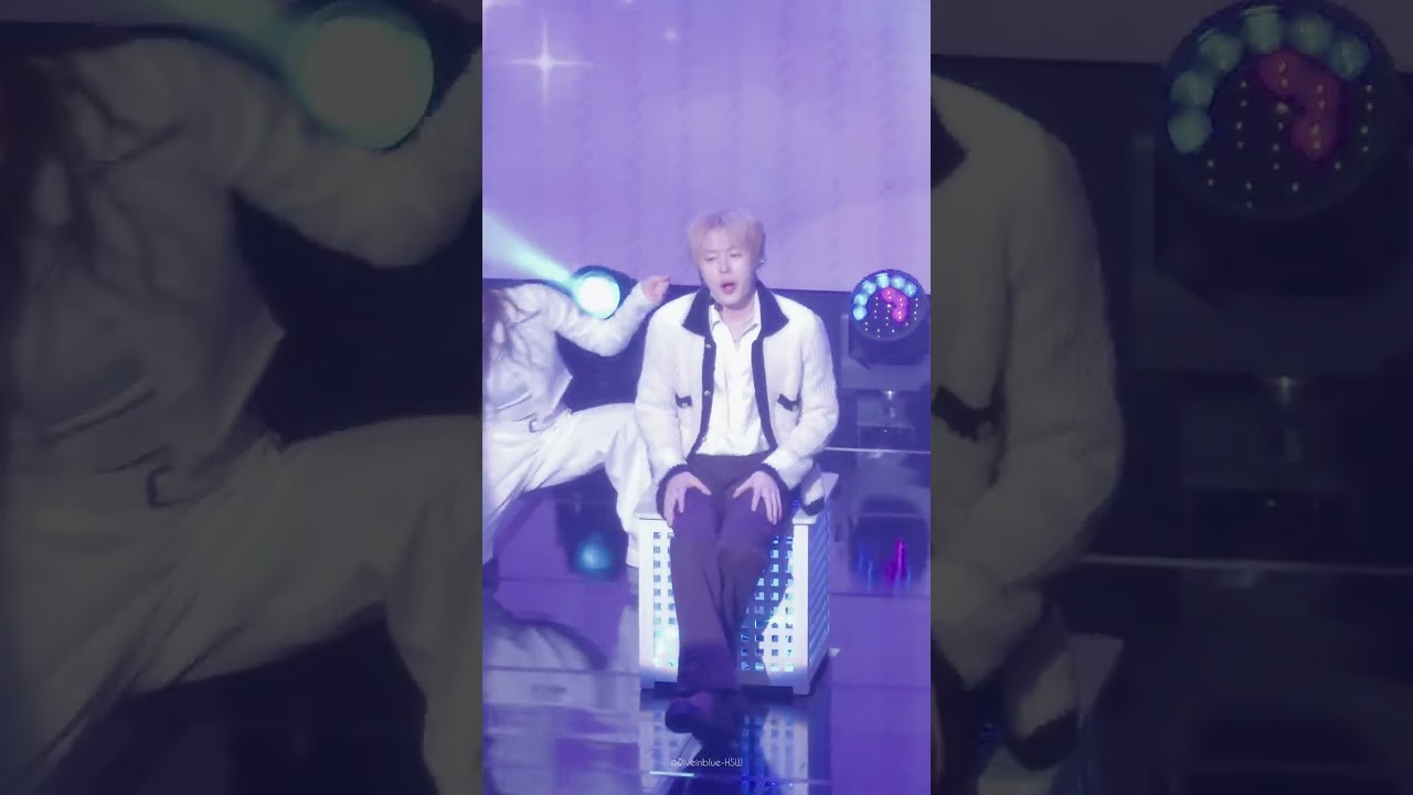 25.12.31 하성운 팬미팅 버드 세로캠