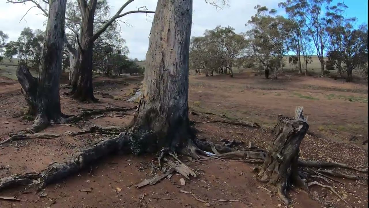Melton Reservoir water level
