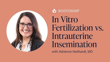 IVF vs. IUI | Boston IVF