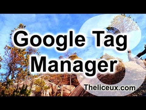 1. Installer Google Tag Manager sur Wordpress (Thelicieux.com)