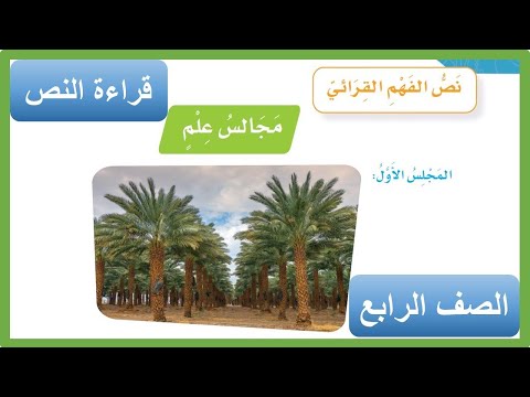 نص الفهم القرائي مجالس علم الصف الرابع الابتدائي الفصل الدراسي الثاني  لغتي 1443 هـ