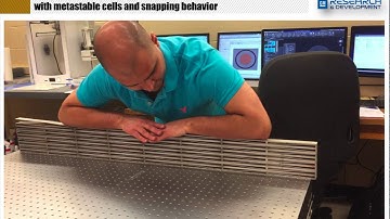 Metallic Architectured Cellular Material