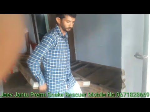 camera iphone 8 plus apk देखिये मस्तापुर बस स्टैंड पर टेन्ट हाऊस में कोन सा साँप निकला