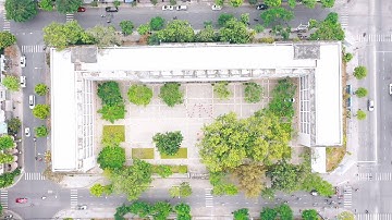 MV VIÊT NAM TÔI / Tập thể lớp 10/5- Trường THPT Phan Châu Trinh- TP Đà Nẵng/ Jack