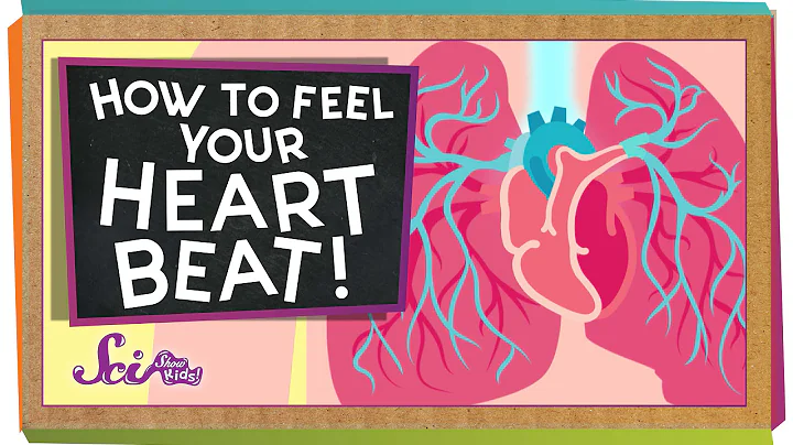 How to Feel Your Heart Beat - DayDayNews