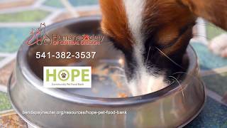 HOPE Pet Food Bank Keeps People & Pets Together During COVID-19 Crisis