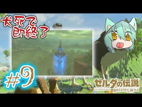 犬護衛 ゼルダの伝説 Botw Youtube 犬護衛 ゼルダの伝説 Botw Youtube